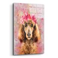 thumbnail image 2 of Epic Art 'Flower Crown Poodle' by Furbaby Affiliates, Acrylic Glass Wall Art, 12"x16", 2 of 8