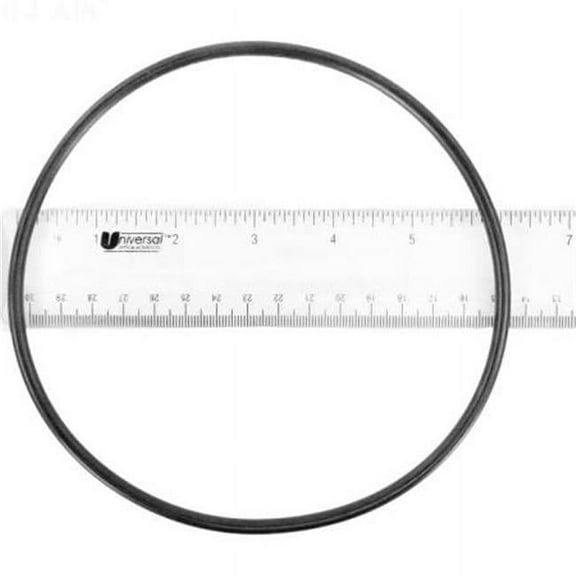 Waterway Plastics WW8050360 O-Ring Filter Lid