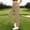Khaki, variant on Women’s Multi-Functional Travel Ankle Pants, Stretch Adaptive Fabric, Golf & Outdoor Function Design, Lightweight Daily Active Wear Red S
