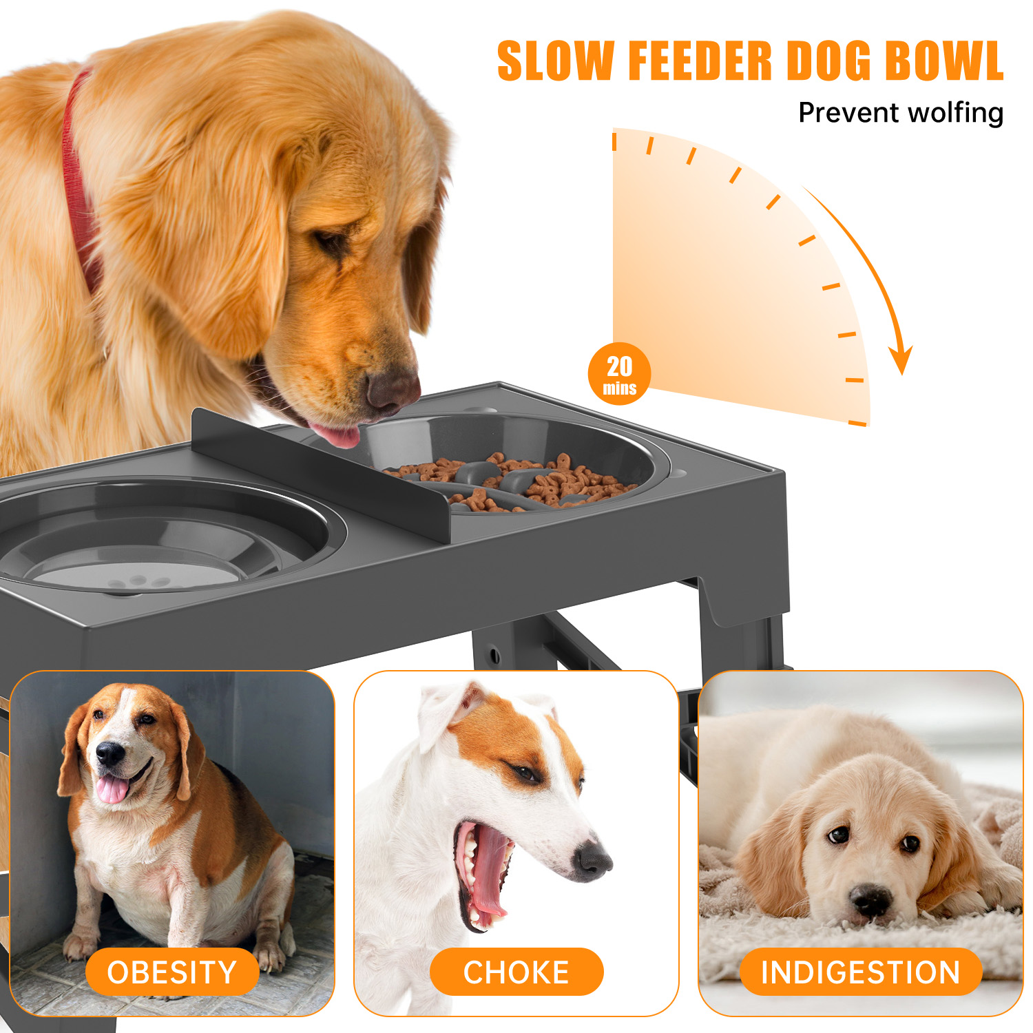 Cshidworld 2-in-1 Elevated Slow Feeder Adjustable Bowl photo 6