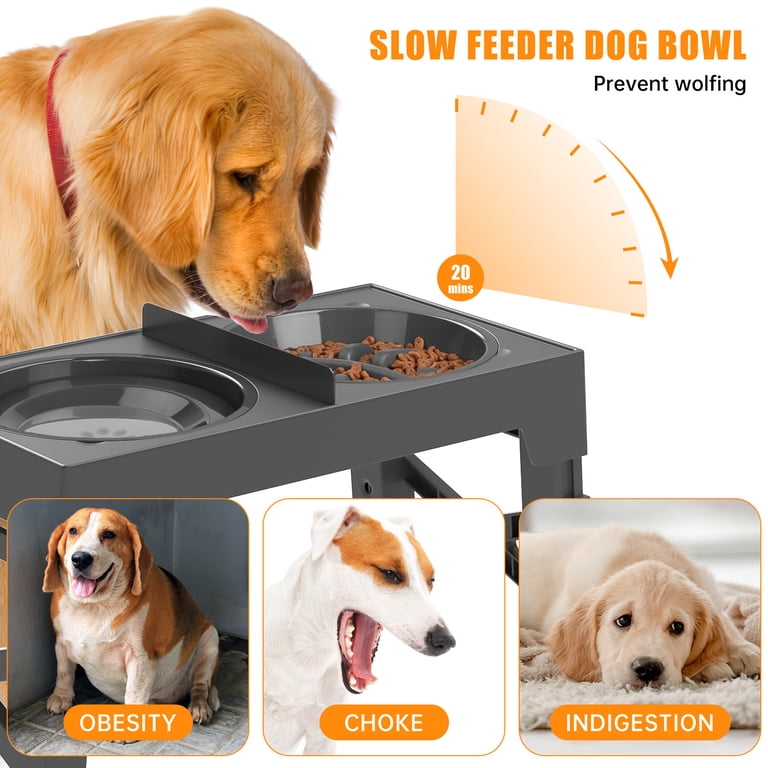 Cshidworld Adjustable Elevated Dog Bowl with Slow Feeder photo 6