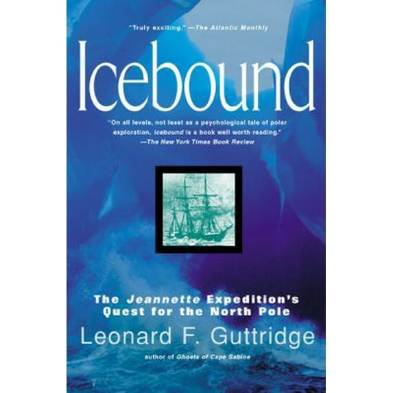 Pre-Owned Icebound (Paperback) 0425181782 9780425181782