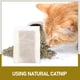 thumbnail image 4 of 20 piezas bolsitas de té con hierba gatera, juguetes para gatos, bolsitas de té con hierba gatera de repuesto, hierba gatera multiusos, 4 of 5