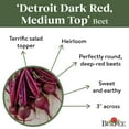 thumbnail image 5 of Burpee Organic Medium Top Detroit Dark Red Beet Vegetable Seed, Annual Lifecycle, Full Sun, 5 of 6