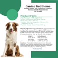 thumbnail image 4 of Canine Gut Biome Powder Hollistic Bin, 50 g, prebióticos y probióticos, 4 of 7