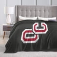 thumbnail image 4 of Olivet College Logo Fleece Blanket, Very Soft Microfiber Flannel Blanket for Couch Warm and Cozy for All Seasons, 4 of 6