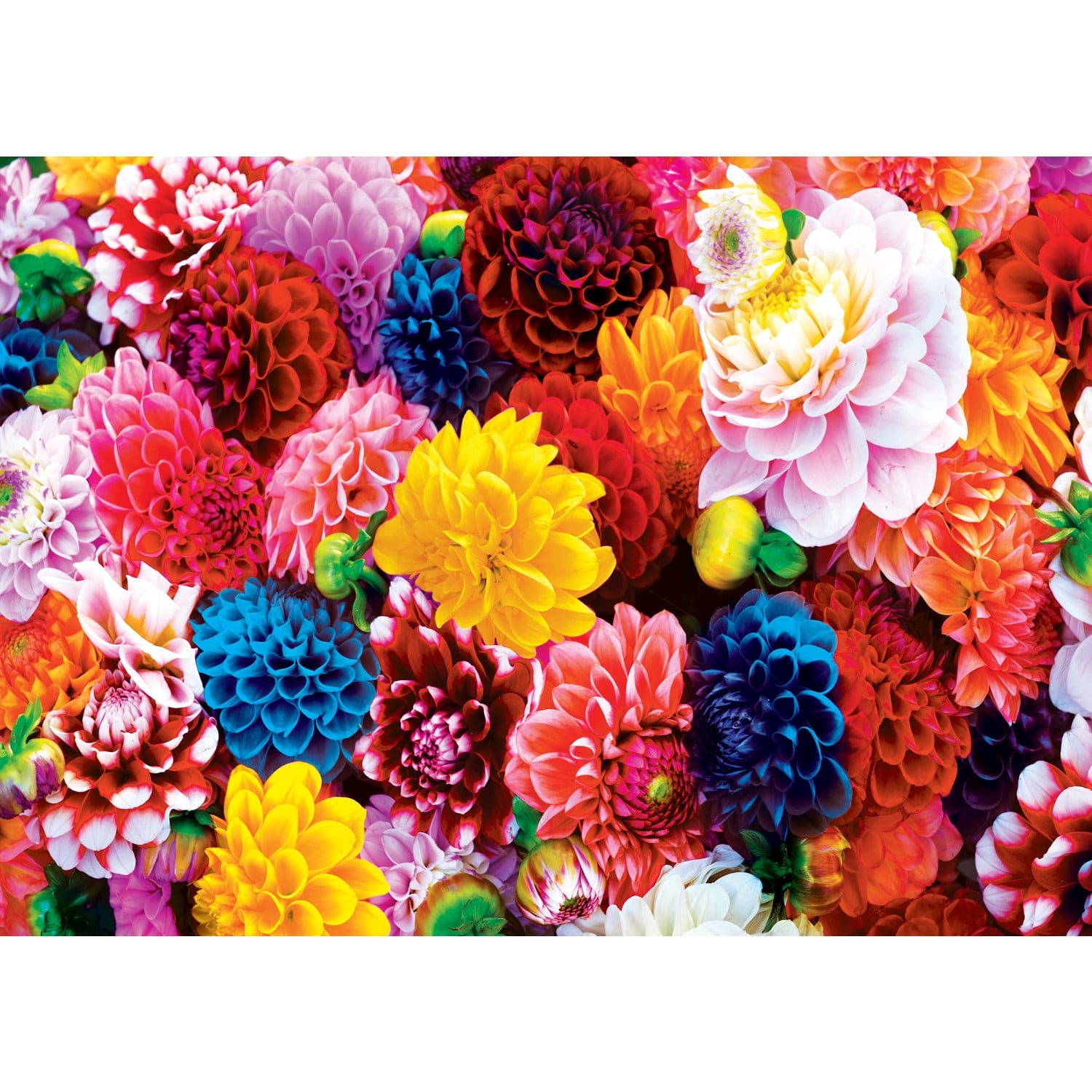 MasterPieces 500 Piece Jigsaw Puzzle - Beautiful Blooms - 15"x21"