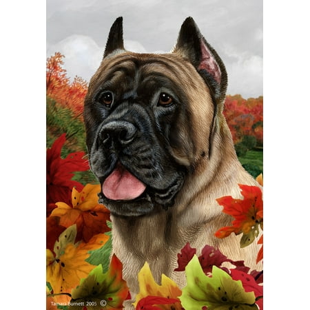 Cane Corso Fawn - Best of Breed Fall Leaves Garden