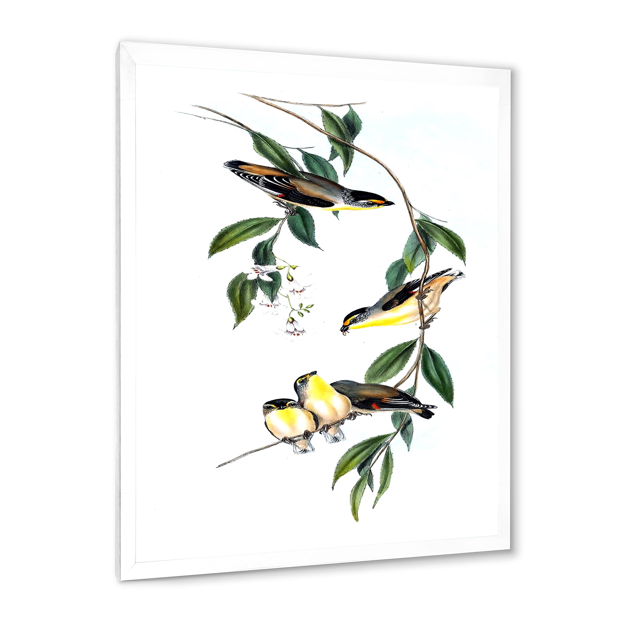 Designart 'Ancient Bird III' Traditional Framed Art Print