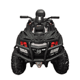 thumbnail image 2 of VTT pour Enfants Amélioré 24V 4x4 Raptor 2 Places, 2 of 5