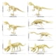 thumbnail image 2 of 7 Uds. De esqueletos fósiles de aur, juguetes de huesos de aur para niños, juguetes arqueológicos para niños, juguetes de ciencia fósil aur, 2 of 8