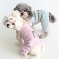 thumbnail image 3 of Coral Fleece Puppy Hoodie Wear-Resistant Warm Jumpsuit for Winter, Skin-Friendly and Comfortable, 3 of 8