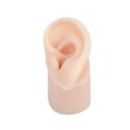 thumbnail image 1 of Tachiuwa Simulated Silicone Ear Model Headset Display Teaching Tools deep Canal Right, 1 of 9