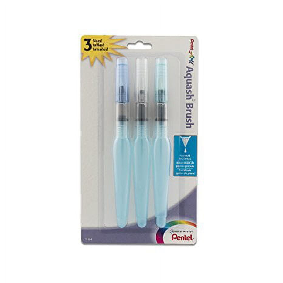 Pentel Pentel Arts Aquash Water Brush Set, Fine, Medium, Bold Points, 3/pkg
