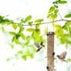 thumbnail image 5 of Comederos para pájaros para exteriores, comedero colgante para jardín, patio, decoración exterior, dispensador de comida, comedero para semillas de pájaros, regalo para amantes de las aves., 5 of 7