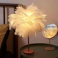 thumbnail image 3 of Feather Table Lamp - PVC Material, Portable, 4.5V Power, for Bedroom/Party Decoration/Photography, 3 of 3