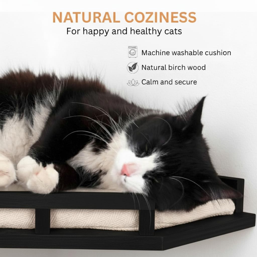 Cat Wall Shelves - Safe And Sturdy Furniture Stylish Wood Corner Shelf With 3 Steps For Cats Up To 15lbs Cushioned Perch Stairs Climbing Playing Black