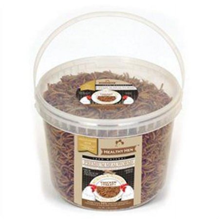 Innovation Pet 254852 4 lbs Premium Mealworms