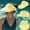 Yellow, variant on Beach Sun Visor Women's Sun Hat Women's Outdoor Sports Hat Crop Production Hat Girls Baseball Hat Hat for Jogging Dad Hat Women Mens Hat Size 8 Cool Hats for Boys Tn Vols Hat 47 Hat Racks for Baseball