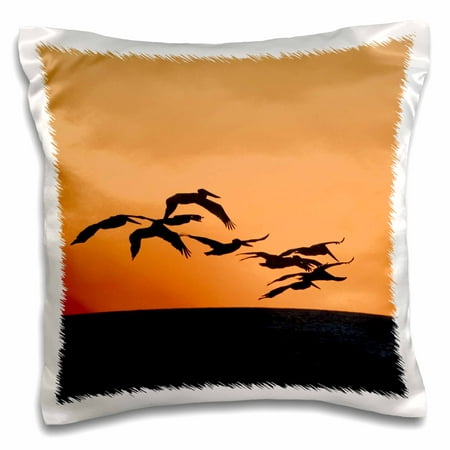 3dRose Mexico, Mazatlan. Pelican birds flying at dusk - SA13 CSL0168 - Charles Sleicher - Pillow Case, 16 by