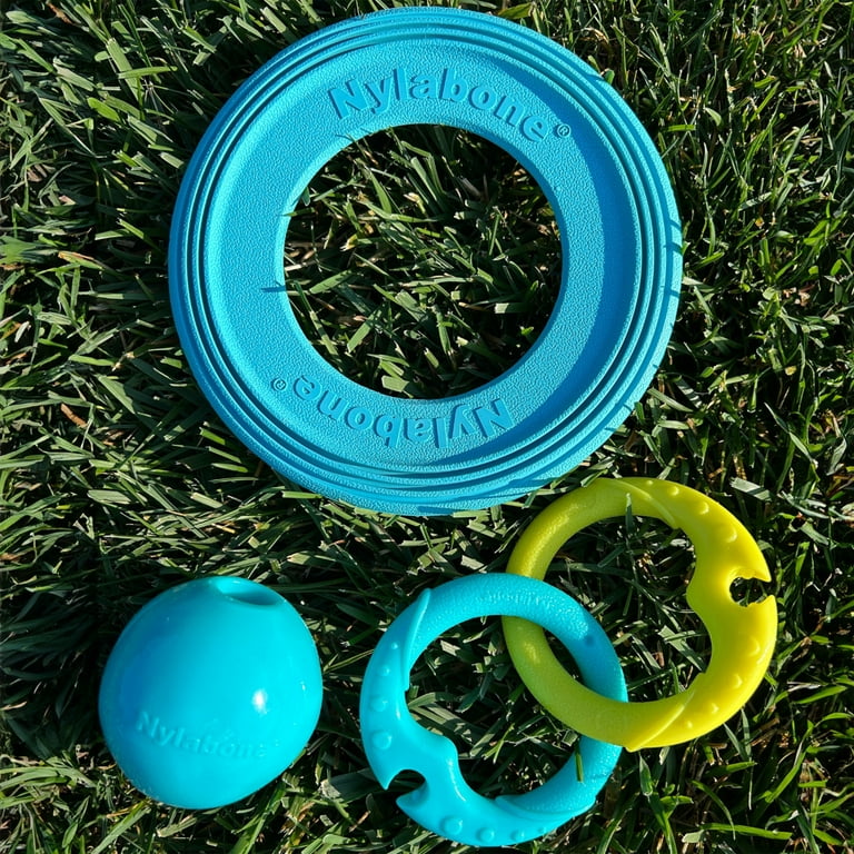 Nylabone Power Play Puppy Super Flyer Gripz Intended for puppies of all sizes 1 Count