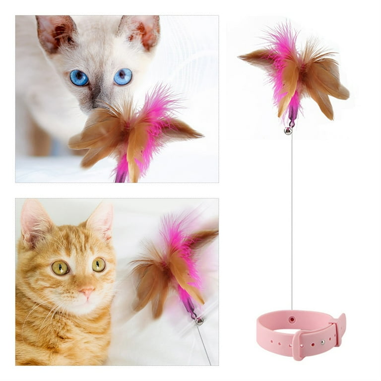 Catnip collar hotsell
