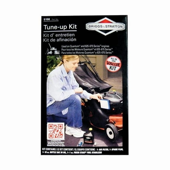 Briggs & Stratton Tune Up Kit