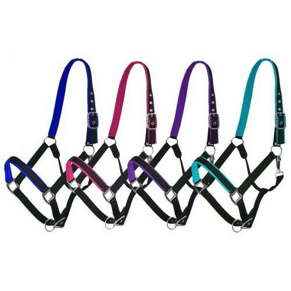 Showman Full Size Horse Nylon Colored Neoprene Lined Halter (Blue)