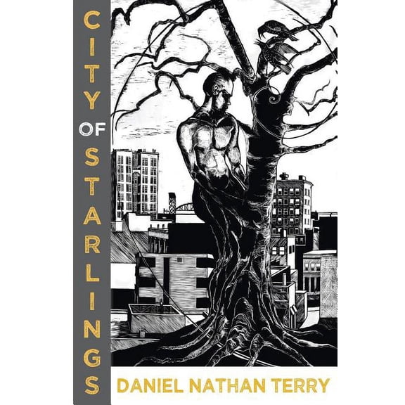 City of Starlings (Paperback)