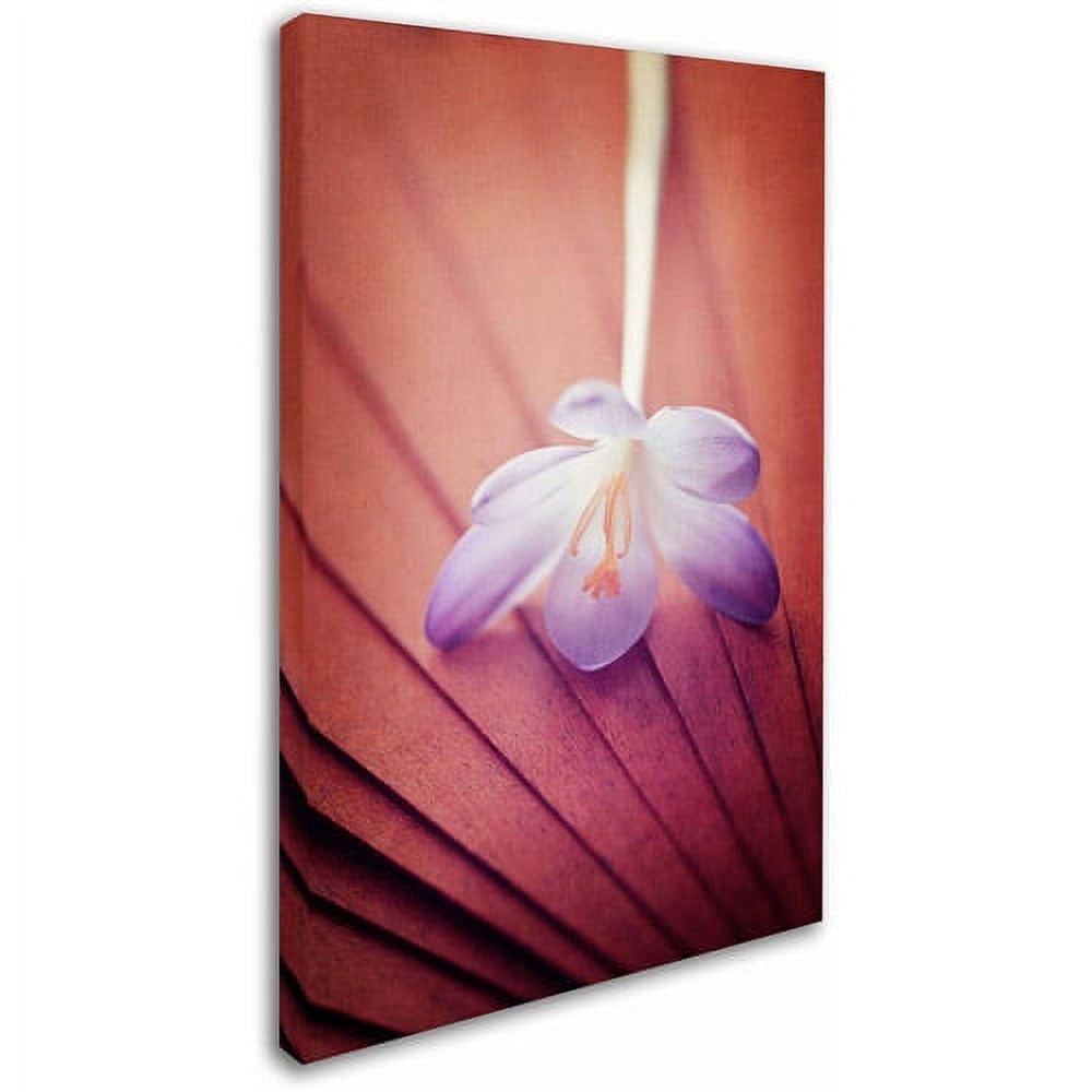 Trademark Fine Art "Access to Desires" Canvas Art by Philippe Sainte-Laudy