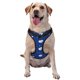 thumbnail image 1 of Fotbe Moon Lamb Arnés para Perro con Estampado –Chaleco Ajustable Acolchado con Asa de Control para Perros Grandes-X-Large, 1 of 6