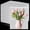8"x 12"-100PCS, variant on 6"x 8"-200PCS Bubble Mailers Shipping Packaging for Fragile Dishes Electronic Items
