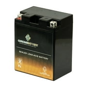Chrome Battery Ytx14ah-bs (14ah-bs 12 Volts,12 Ah, 210 Cca) Atv Battery for Kawasaki Kvf360 Prairie 360cc 09