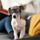 thumbnail image 5 of 2026 Dog Goggles Medium Breed, Dog Sunglasses Small Breed Dog Eye Sun Light Protection, Uv Protection Goggles For Dog With Adjustable Straps, 5 of 5