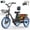 Black, variant on Flycity Electric Tricycle for Adults, Peak 1200W Electric Trike with 48V 15Ah Removable lithium battery, 20" 7 Speeds 3 Wheels Electric Bikes, Black