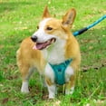 thumbnail image 4 of AIITLE Breathable Mesh-lined Dog Harness with A Leash - Waterproof Lightweight Oxford Cloth Pet Harness with Double Reflective Design, Adjustable No Pull Pet Supplies for Puppy Small Dogs Blue XS, 4 of 6