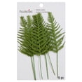 thumbnail image 3 of Recollections Green Paper Fern Embellishments, 12 Packs: 6ct. (72 total), 3 of 3