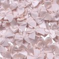 thumbnail image 1 of GFDYREE 80Pcs Mini Satin Ribbon Bows Flowers 1" x3/4"Appliques DIY Craft Scrapbooking DIY Embellishmen Projects,Bow Decorations (Beige), 1 of 2