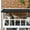 Grey + Wood#564, variant on Wooden Outdoor Cat House with Asphalt Roof and Escape Doors, Feral Cat Shelter Kitten Tree for Outdoor Use, Grey