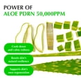 thumbnail image 4 of EQQUALBERRY 2 PACK 1.01oz Aloe PDRN Suero Suavizante Calmante – Cuidado de la piel coreana calmante para pieles sensibles, cica y aloe para reparación, hidratación y brillo radiante, no comedogénico, 4 of 5