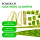 thumbnail image 4 of EQQUALBERRY 2 PACK 1.01oz Aloe PDRN Suero Suavizante Calmante – Cuidado de la piel coreana calmante para pieles sensibles, cica y aloe para reparación, hidratación y brillo radiante, no comedogénico, 4 of 5