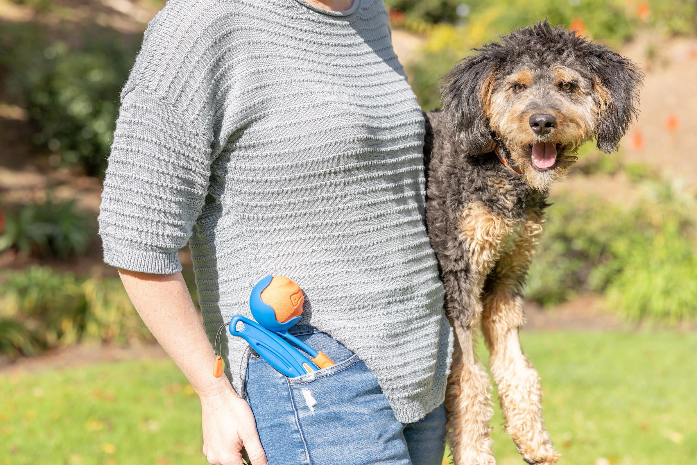 Chuckit! Fetch & Fold Mini 18M Dog Ball Launcher, 18" Long Handle, Compatible with Medium 2.5" Balls, Pack of 1