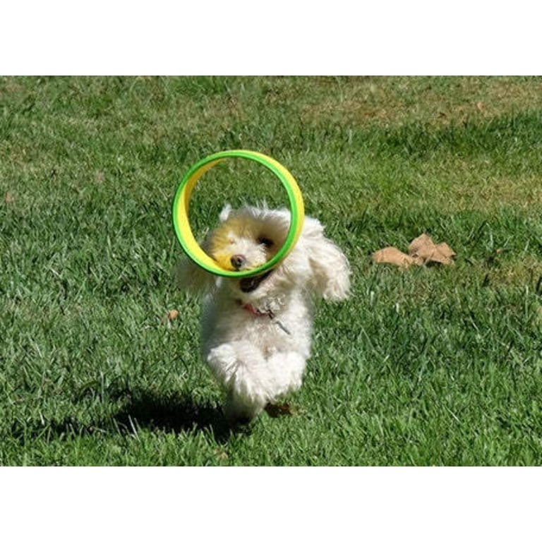 Hurrik9 top dog toy