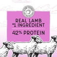 thumbnail image 3 of Blackwood Bounty Dry Cat Food Red Meat - 10 lb., 3 of 7