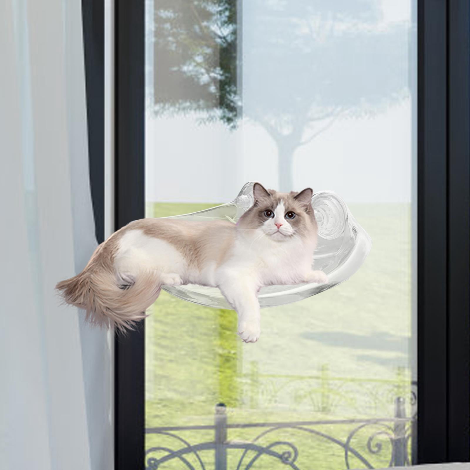 Bvdfgk Cat Hammock for Window Pet Supplies Pet Furniture Accessory Professional Premium Transparent