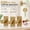 4 Pcs Gold, variant on 2PCS No Drill Curtain Brackets, Self-Adhesive Adjustable Curtain Rod Hooks for Rods Under 1.57 Inch, Clear Window Curtain Hardware