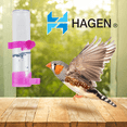 thumbnail image 2 of Bebedero Gde P/Ave Hagen grande, 2 of 2