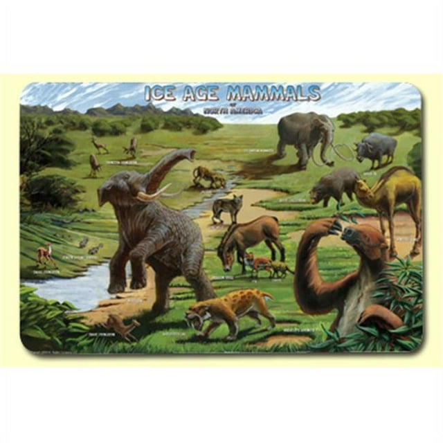 Ensemble de Table Ice Age