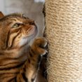 thumbnail image 3 of 1 roll of DIY Sisal Rope DIY Cat Scratcher Rope Cat Scratching Post Sisal Rope, 3 of 8
