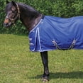 thumbnail image 2 of Dura-Tech Viking Classic Pony Heavy Weight Turnout Horse Blanket | Purple | 64, 2 of 9